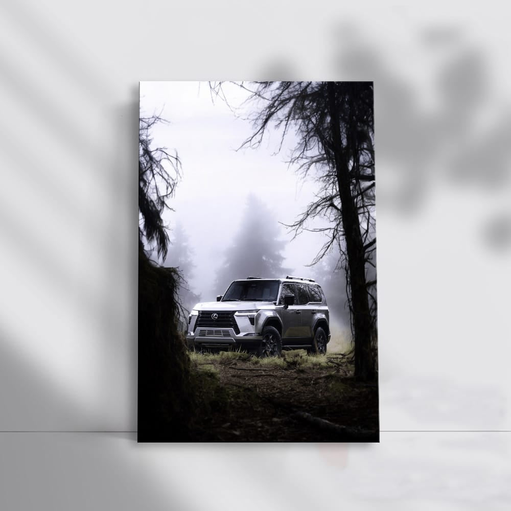 Misty Forest Lexus - Elegance Meets Adventure