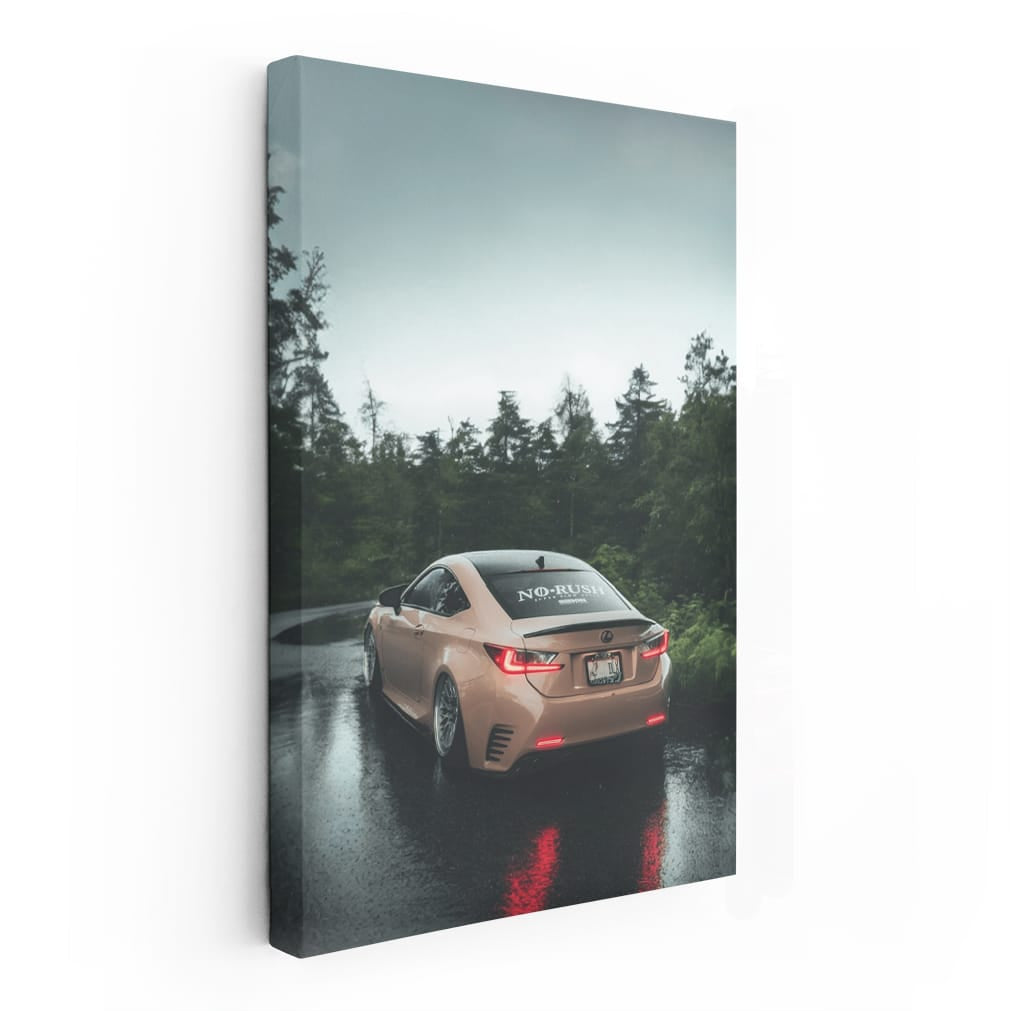 Lexus in Woods - Spacious and Sleek Adventure
