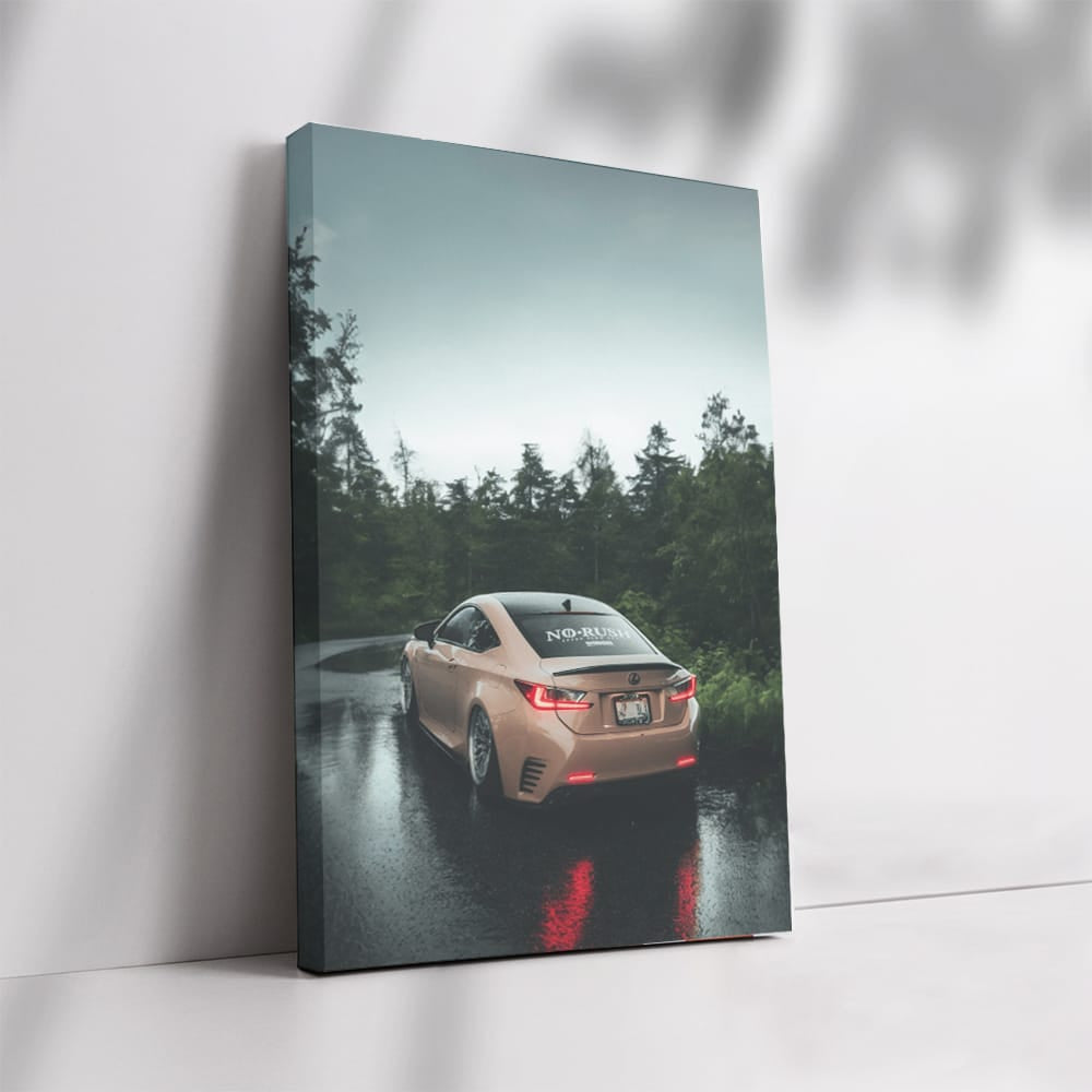 Lexus in Woods - Spacious and Sleek Adventure