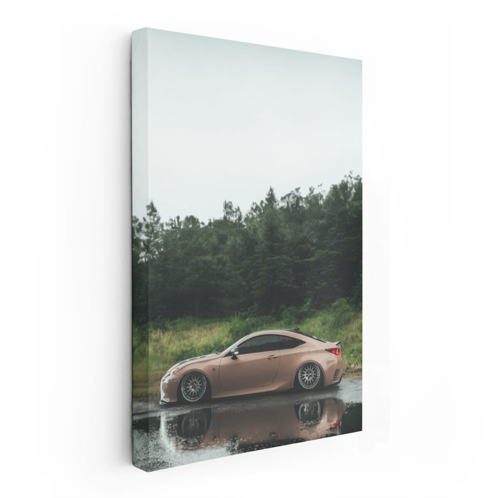Lexus in Woods - Elegance Meets Nature