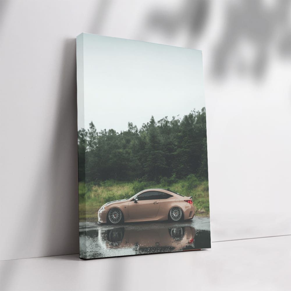 Lexus in Woods - Elegance Meets Nature