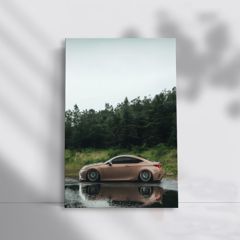 Lexus in Woods - Elegance Meets Nature