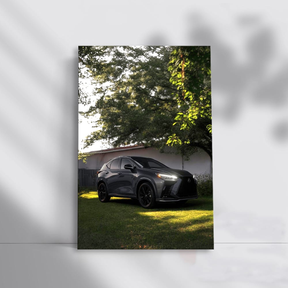 Luxurious Lexus Parked in Yard - Ultimate Comfort and Style