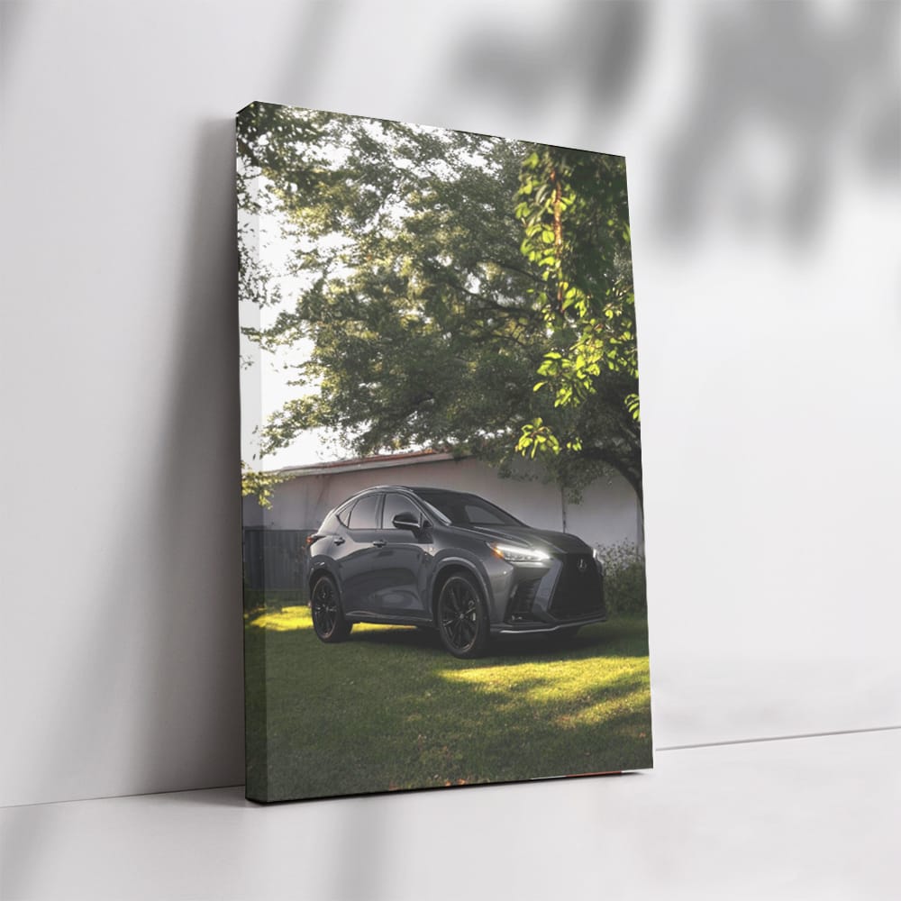 Luxurious Lexus Parked in Yard - Ultimate Comfort and Style