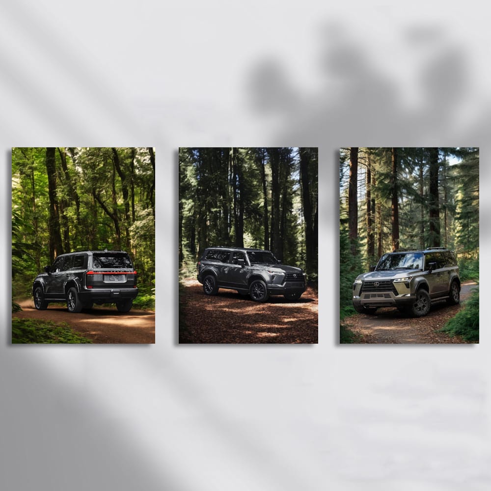 Lexus Nature Set of 3