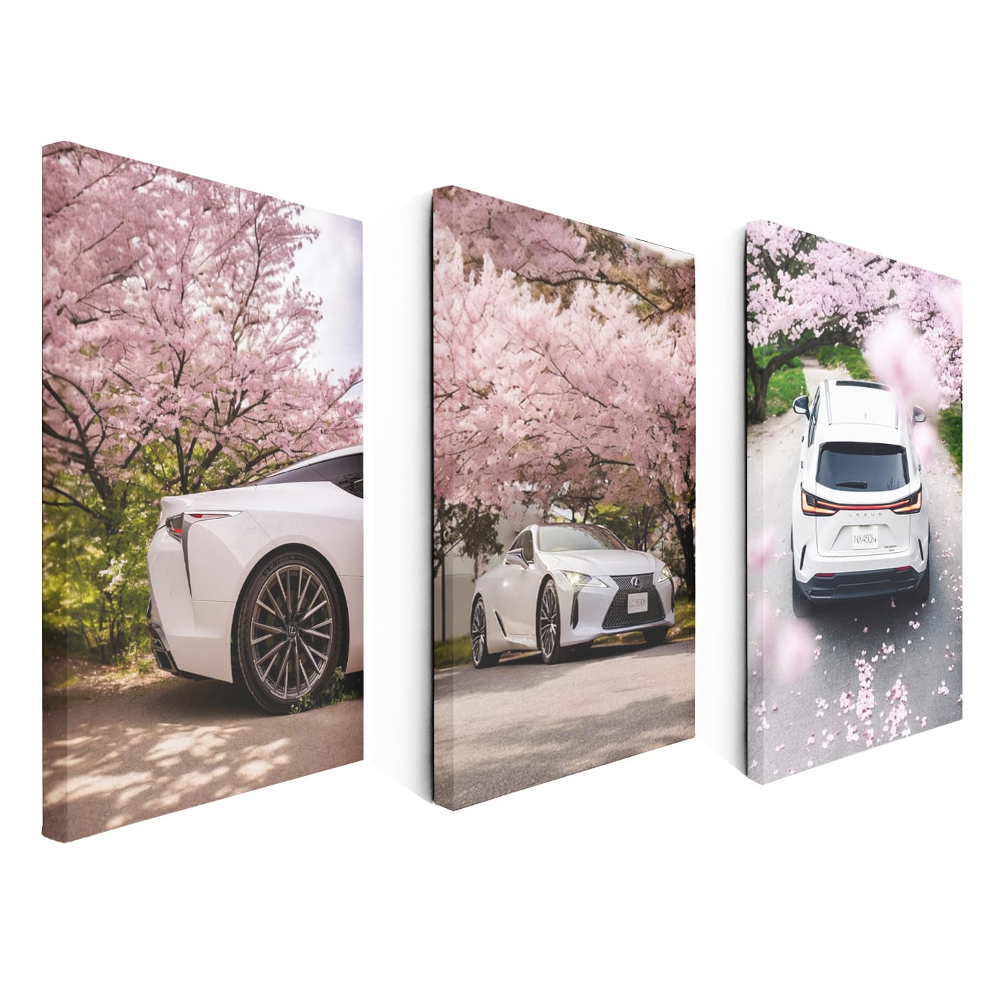 Lexus Sakura Set of 3