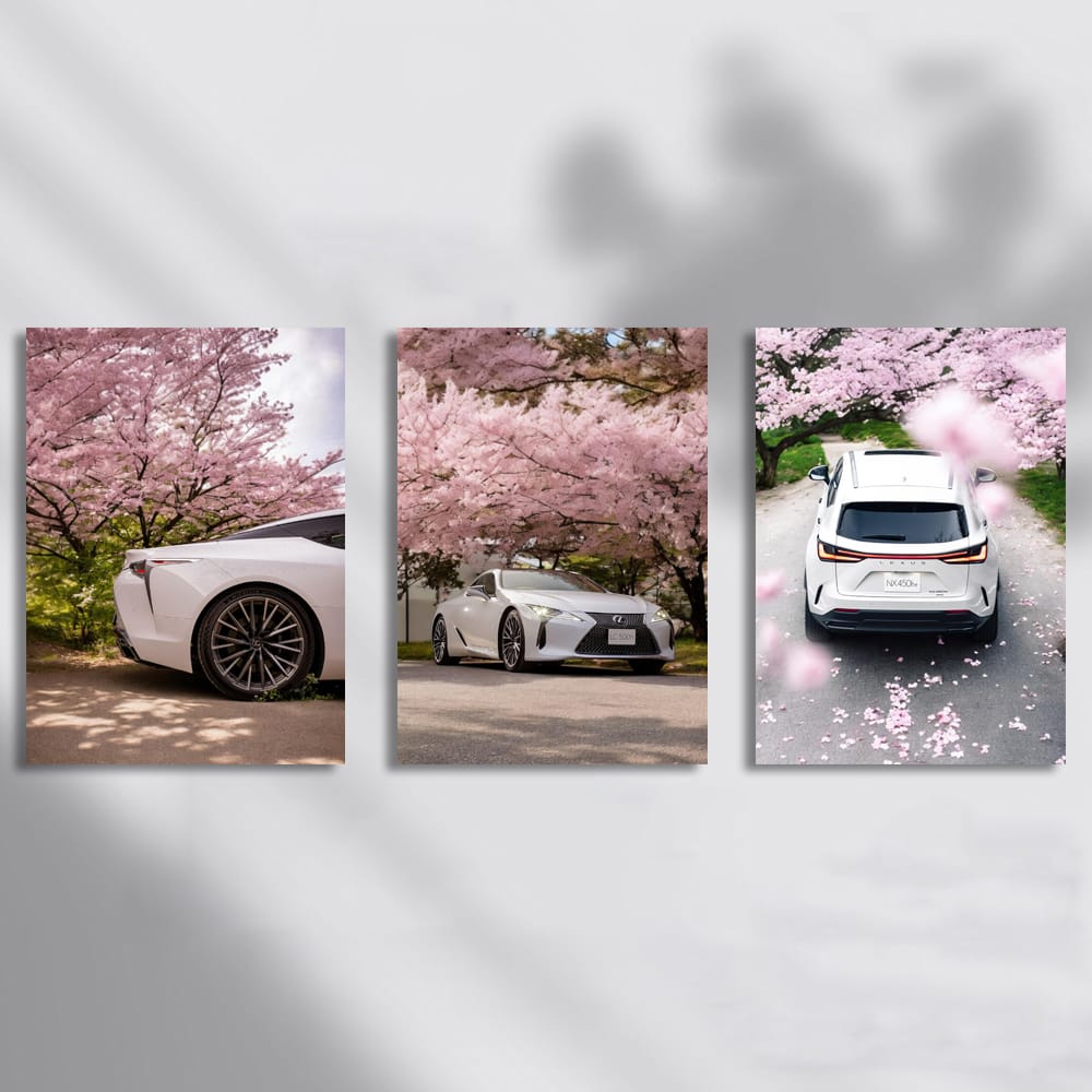 Lexus Sakura Set of 3