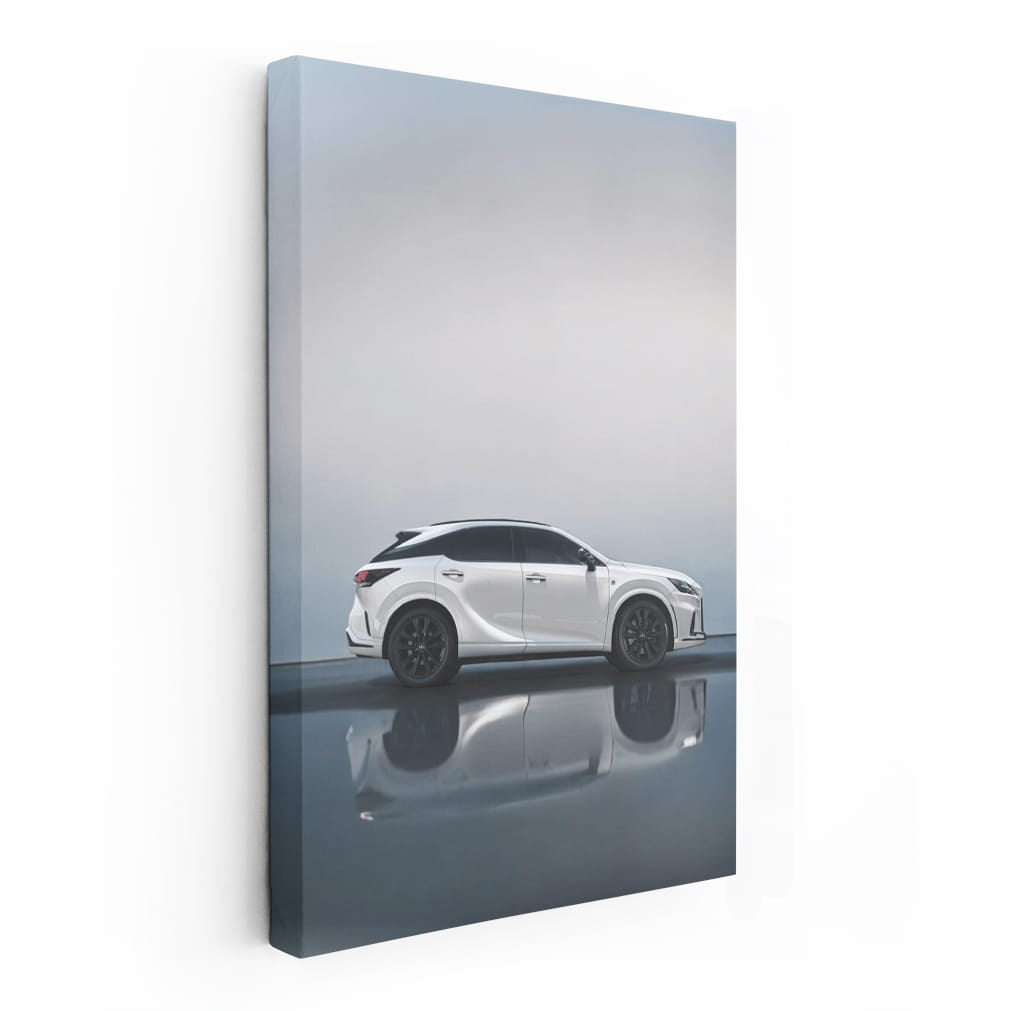 White Lexus Parking - Elegance in Motion