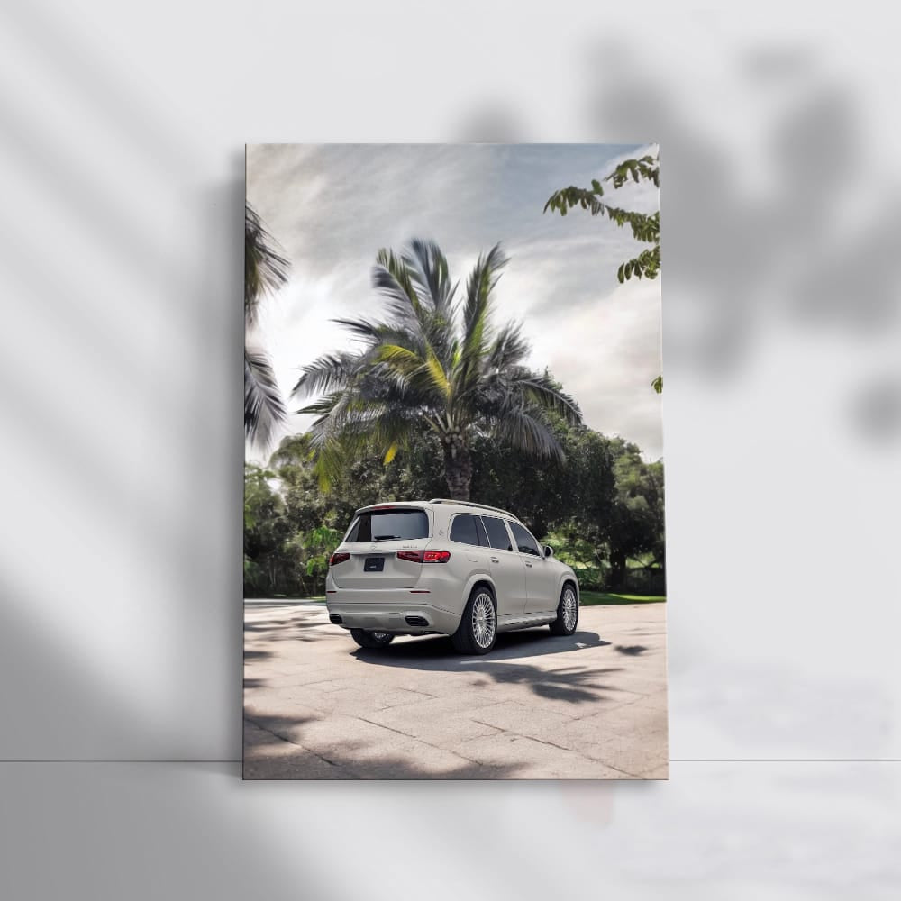 Maybach GLS 600 - Luxury Beneath Palm Tree - Elegance in Motion
