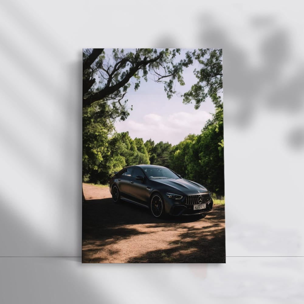 Mercedes AMG Parked Amidst Nature - Power Meets Elegance