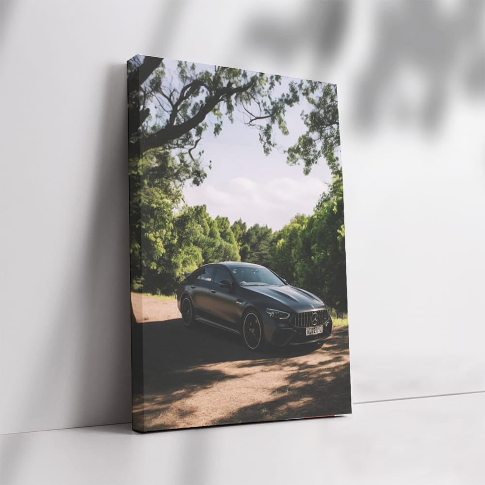 Mercedes AMG Parked Amidst Nature - Power Meets Elegance