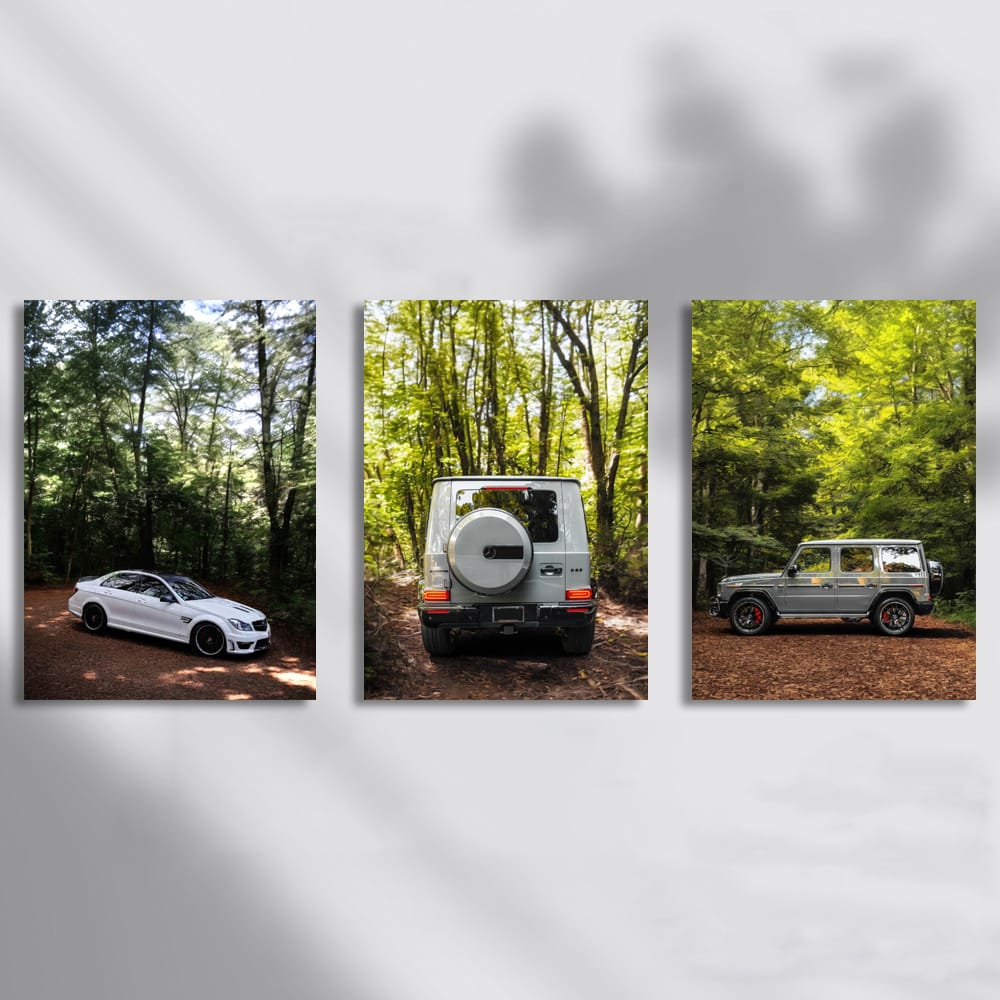 Mercedes In The Forest Set of 3