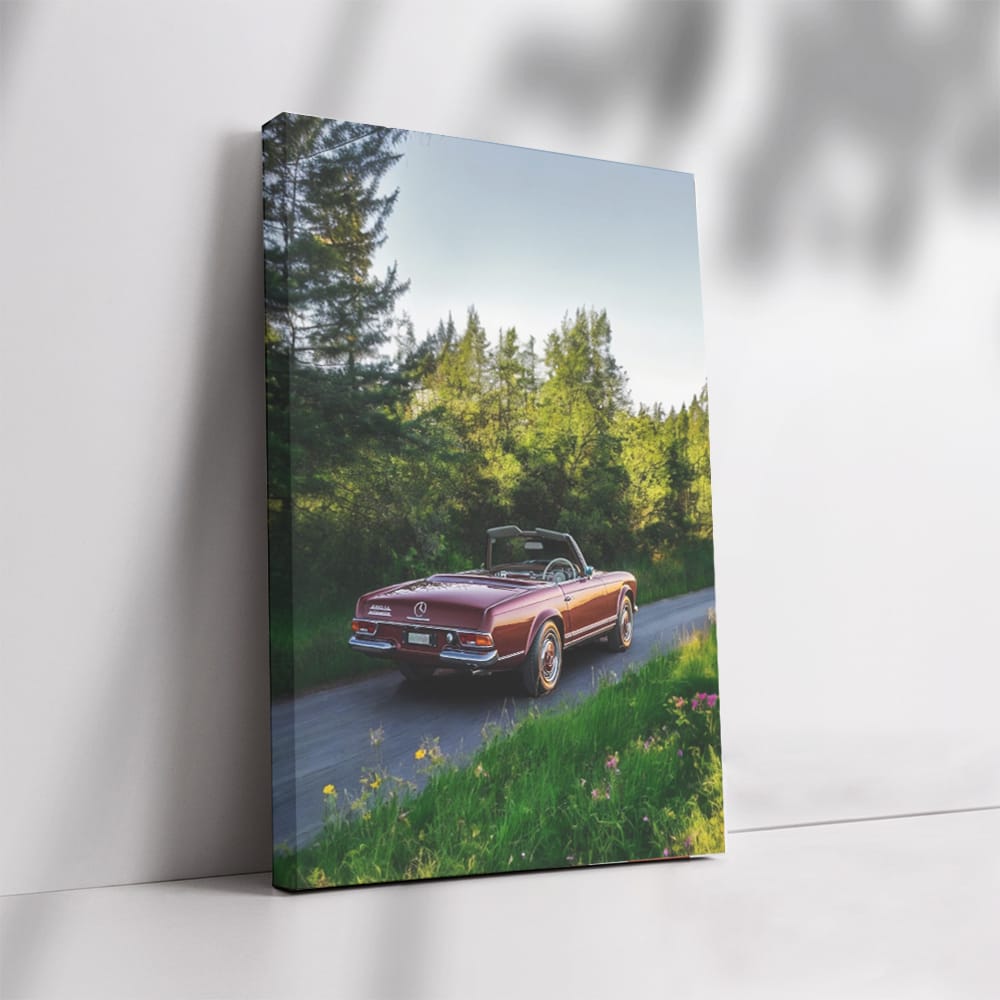 Vintage Mercedes in Nature - Classic Elegance in Motion