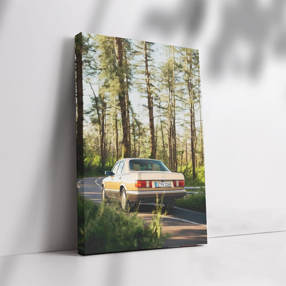 Vintage Mercedes W126 in Forest - Classic Elegance on Wheels