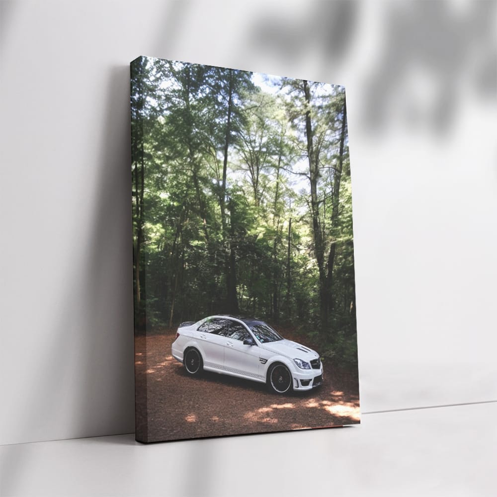 White Mercedes C63 AMG W204 in Forest - Power Meets Elegance