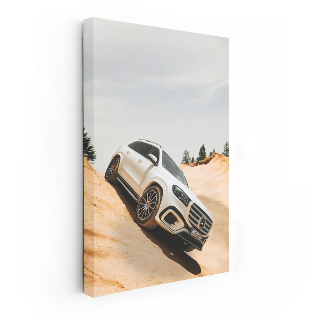 Mercedes White Gls In Deser Wall Art