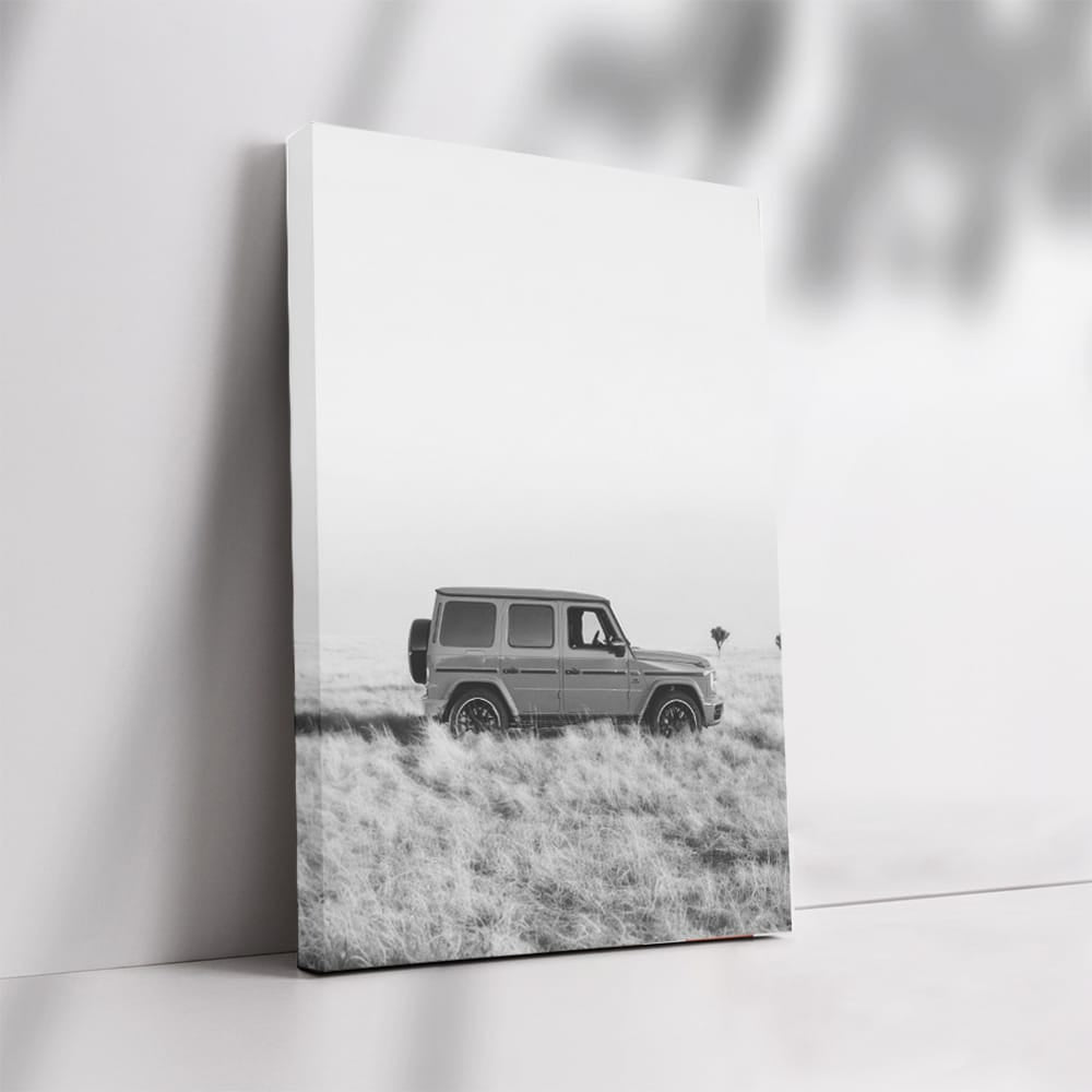 Mercedes Classic BW - Timeless Elegance in Motion