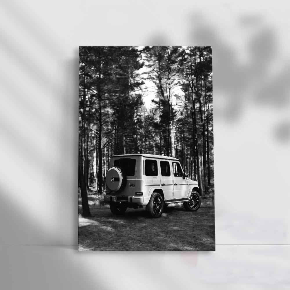 Elegant Black & White Mercedes - Timeless Luxury Style
