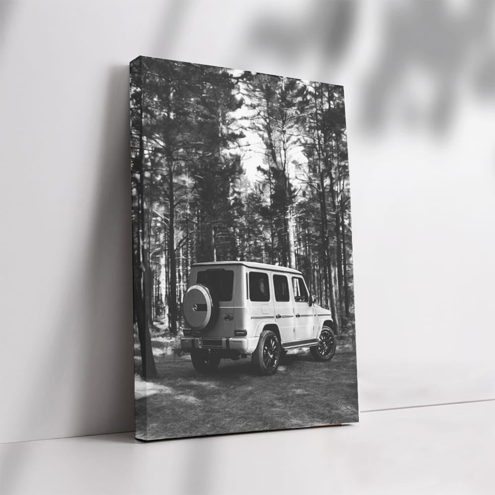 Elegant Black & White Mercedes - Timeless Luxury Style