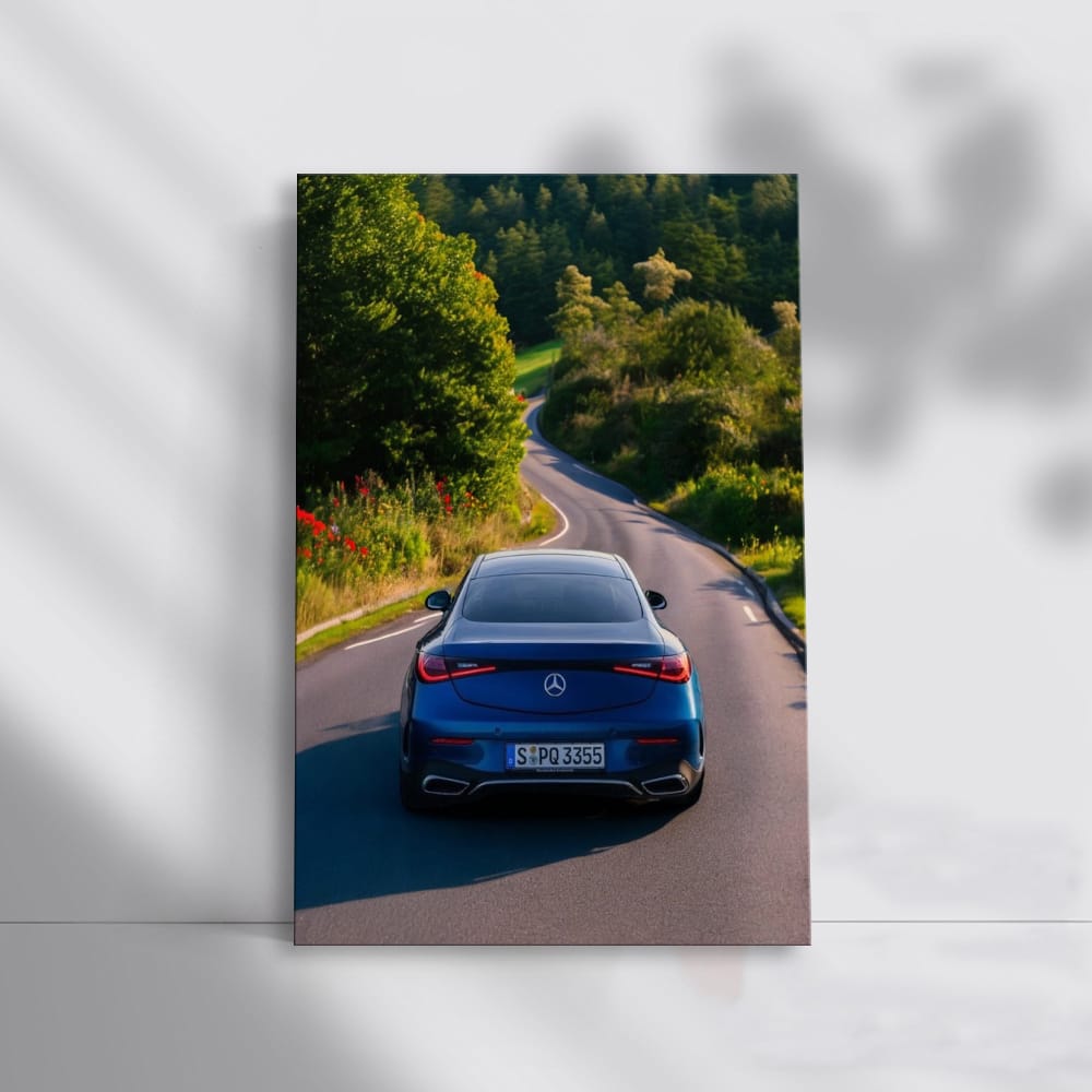 Mercedes Nature 1 - Elegance in Motion