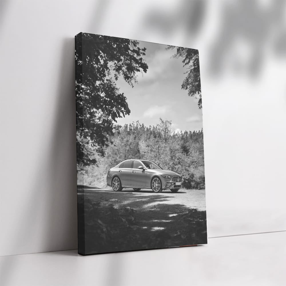 Mercedes Nature BW - Elegance in Every Detail