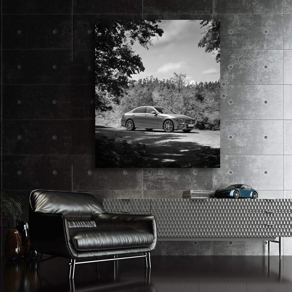 Mercedes Nature BW - Elegance in Every Detail