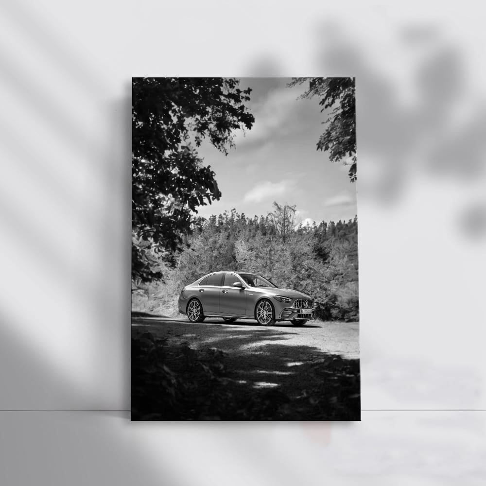 Mercedes Nature BW - Elegance in Every Detail
