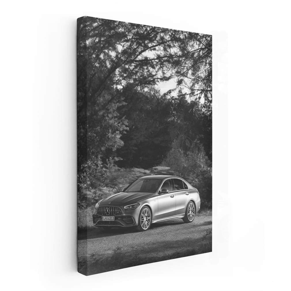 Mercedes Nature BW - Elegant and Timeless Design