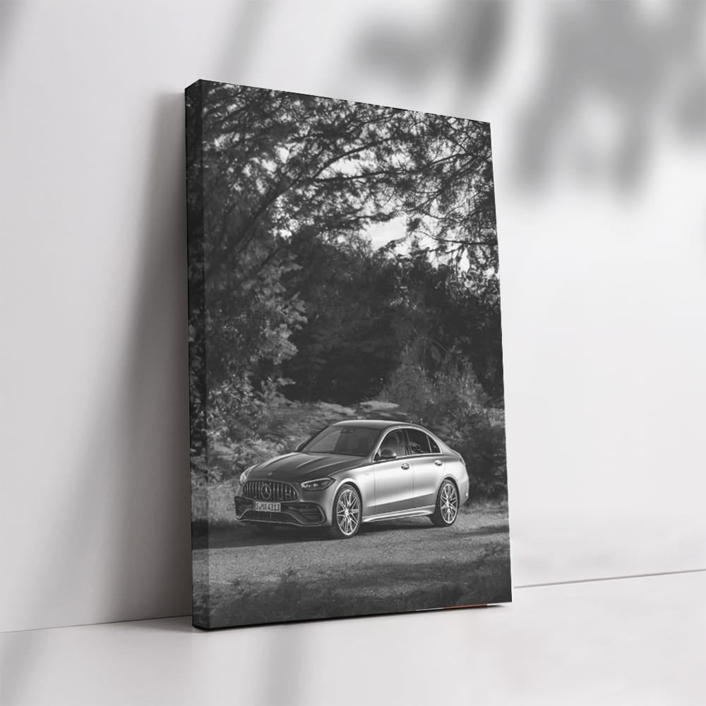 Mercedes Nature BW - Elegant and Timeless Design