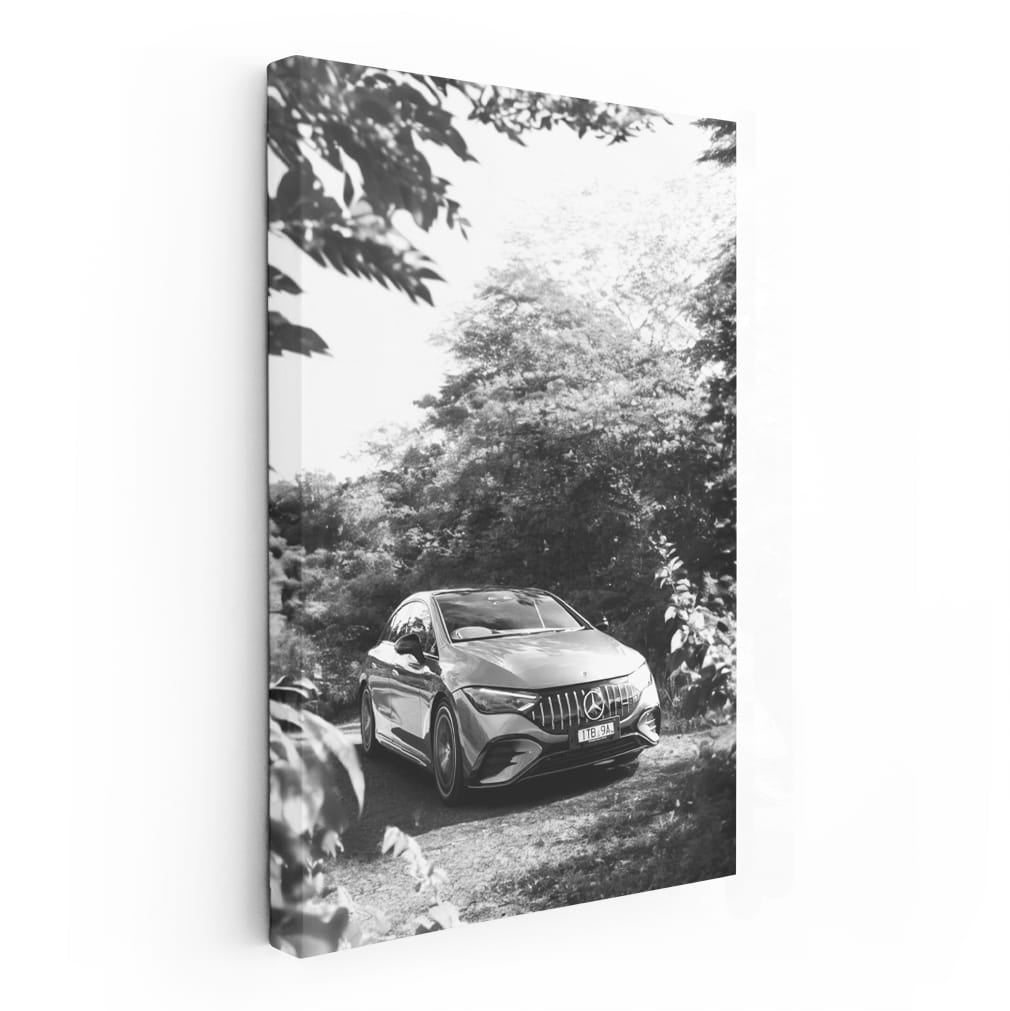 Mercedes Black & White Nature - Elegance Meets Power