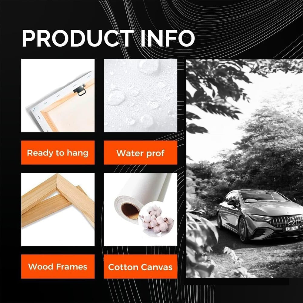 Mercedes Black & White Nature - Elegance Meets Power