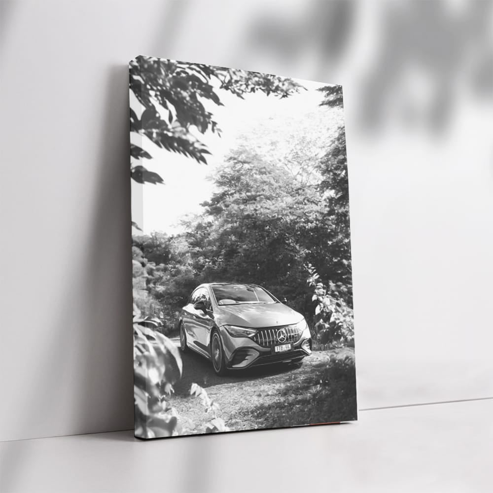 Mercedes Black & White Nature - Elegance Meets Power