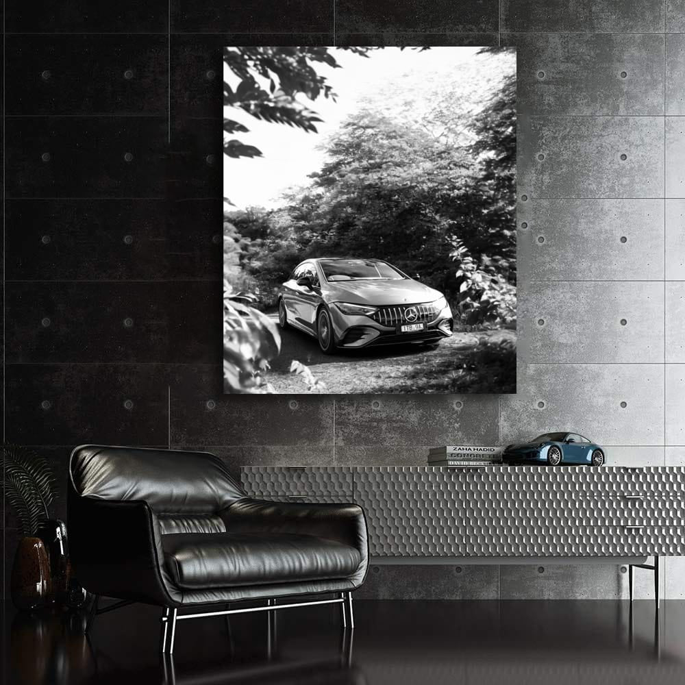Mercedes Black & White Nature - Elegance Meets Power