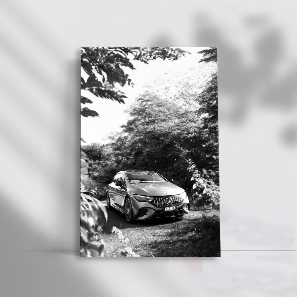 Mercedes Black & White Nature - Elegance Meets Power