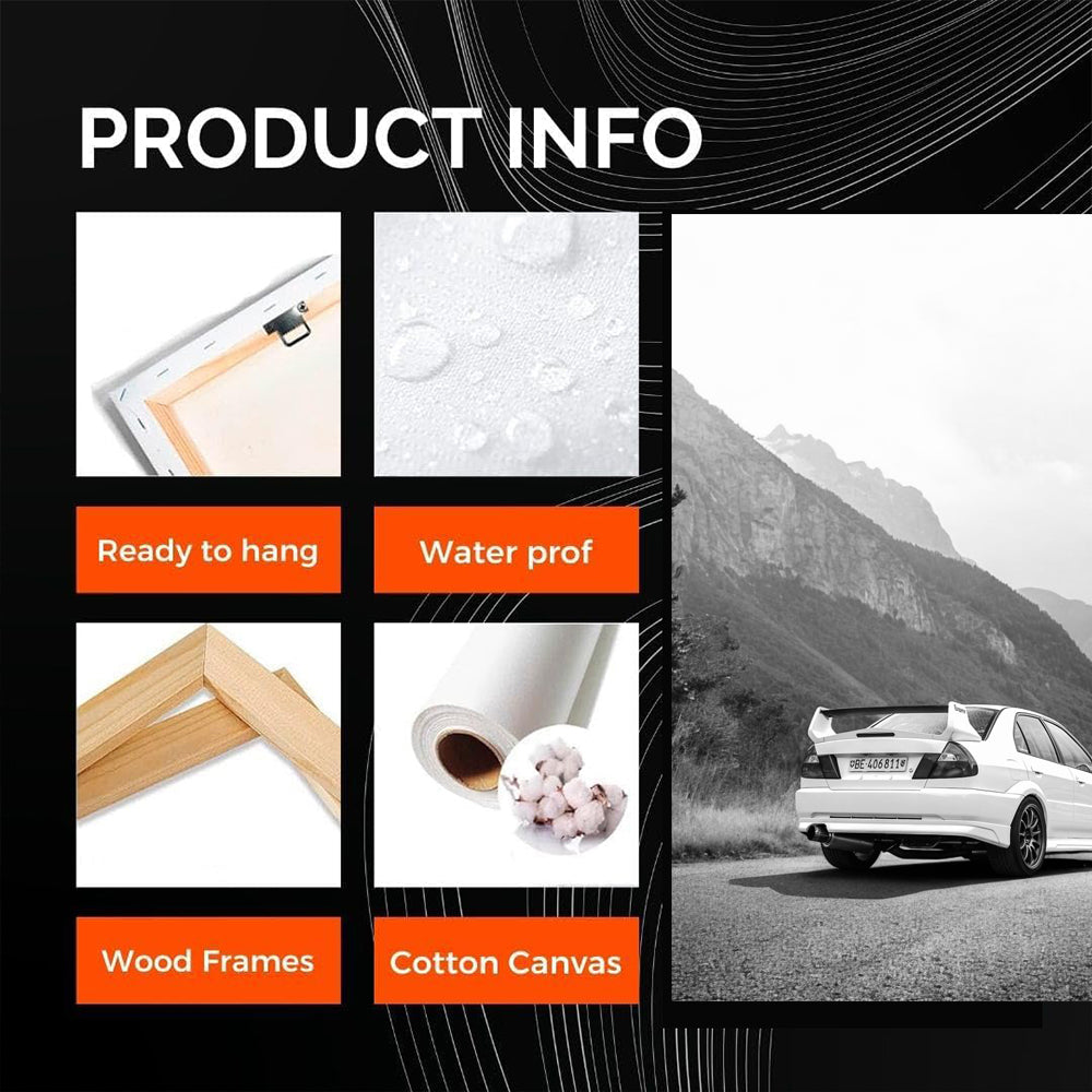 Mitsubishi Lancer BW 2 - Sleek and Sporty Design