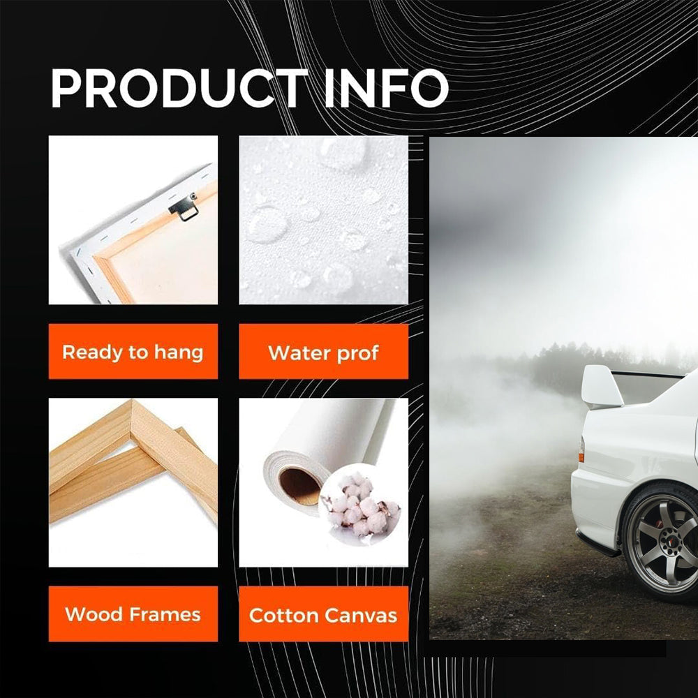 Mitsubishi Lancer Shrouded in Mist - Sporty and Sleek