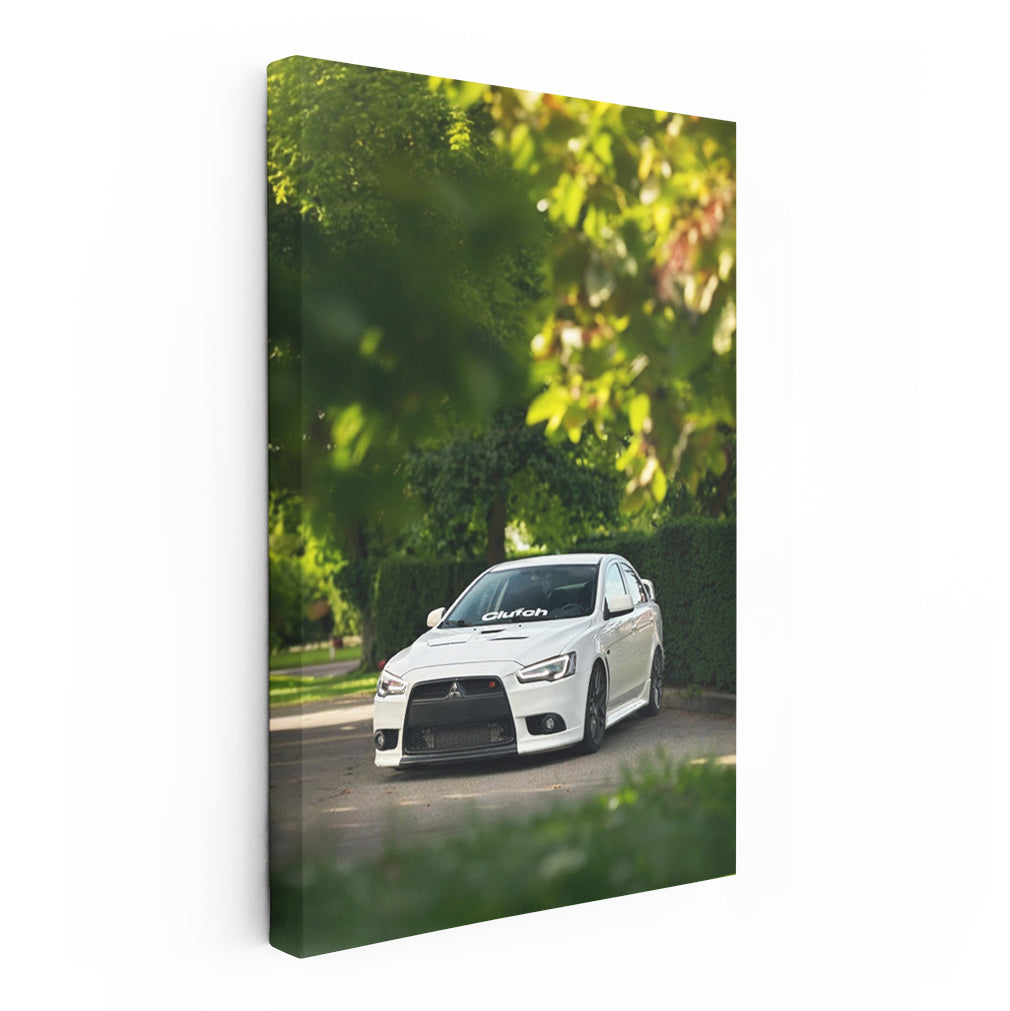 Mitsubishi Lancer Surrounded by Nature - Bold and Adventurous