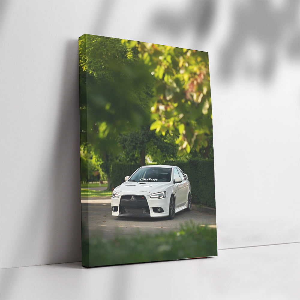 Mitsubishi Lancer Surrounded by Nature - Bold and Adventurous