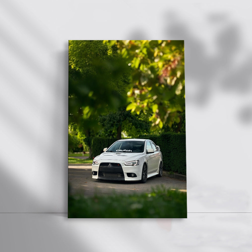Mitsubishi Lancer Surrounded by Nature - Bold and Adventurous