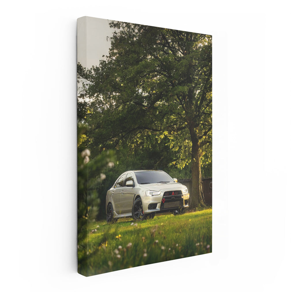 Mitsubishi Lancer Parked Calmly - Sporty Elegance