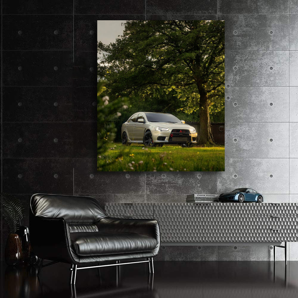 Mitsubishi Lancer Parked Calmly - Sporty Elegance