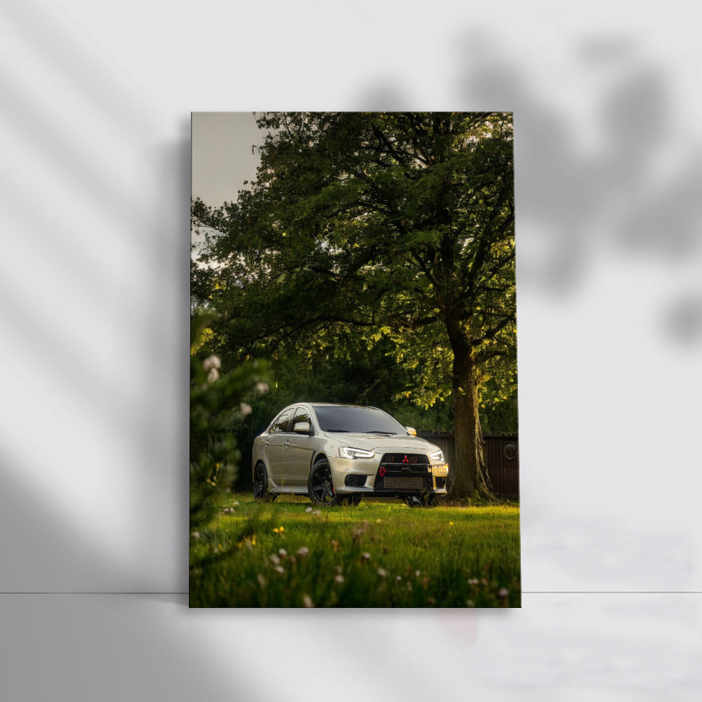 Mitsubishi Lancer Parked Calmly - Sporty Elegance