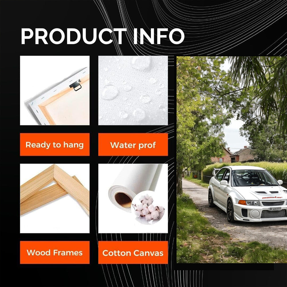 White Mitsubishi Lancer in Nature - Stylish and Dynamic