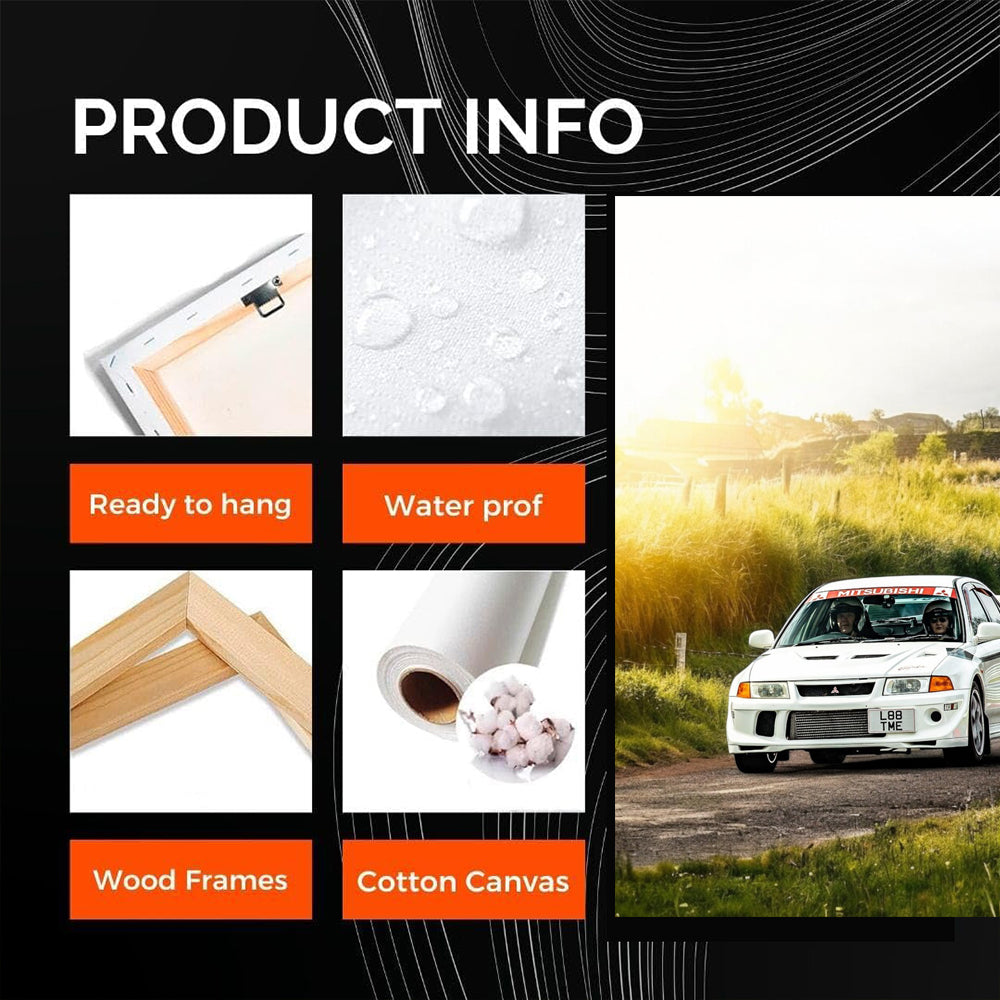 White Mitsubishi Lancer in Nature - Sleek and Dynamic