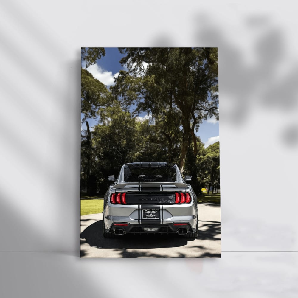Ford Mustang Shelby GT500 in Nature - Power and Elegance