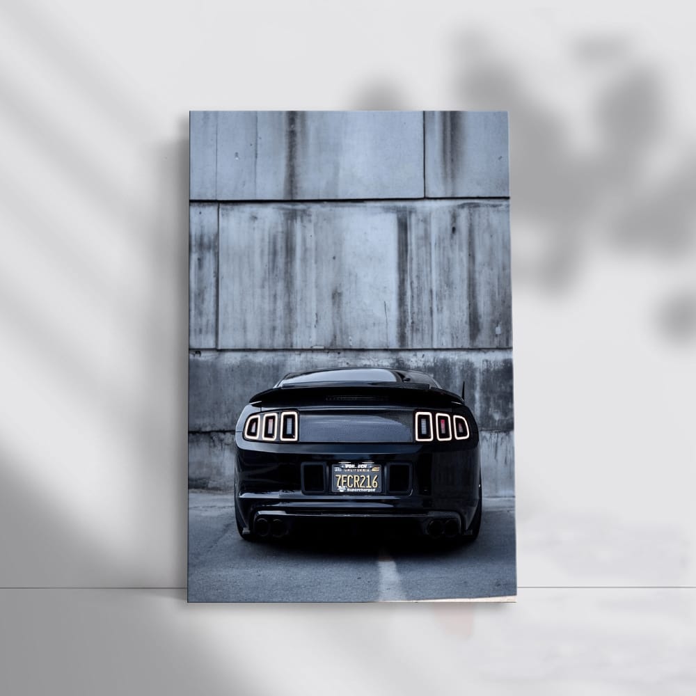 Black Mustang Against Concrete Wall - Bold and Powerful
