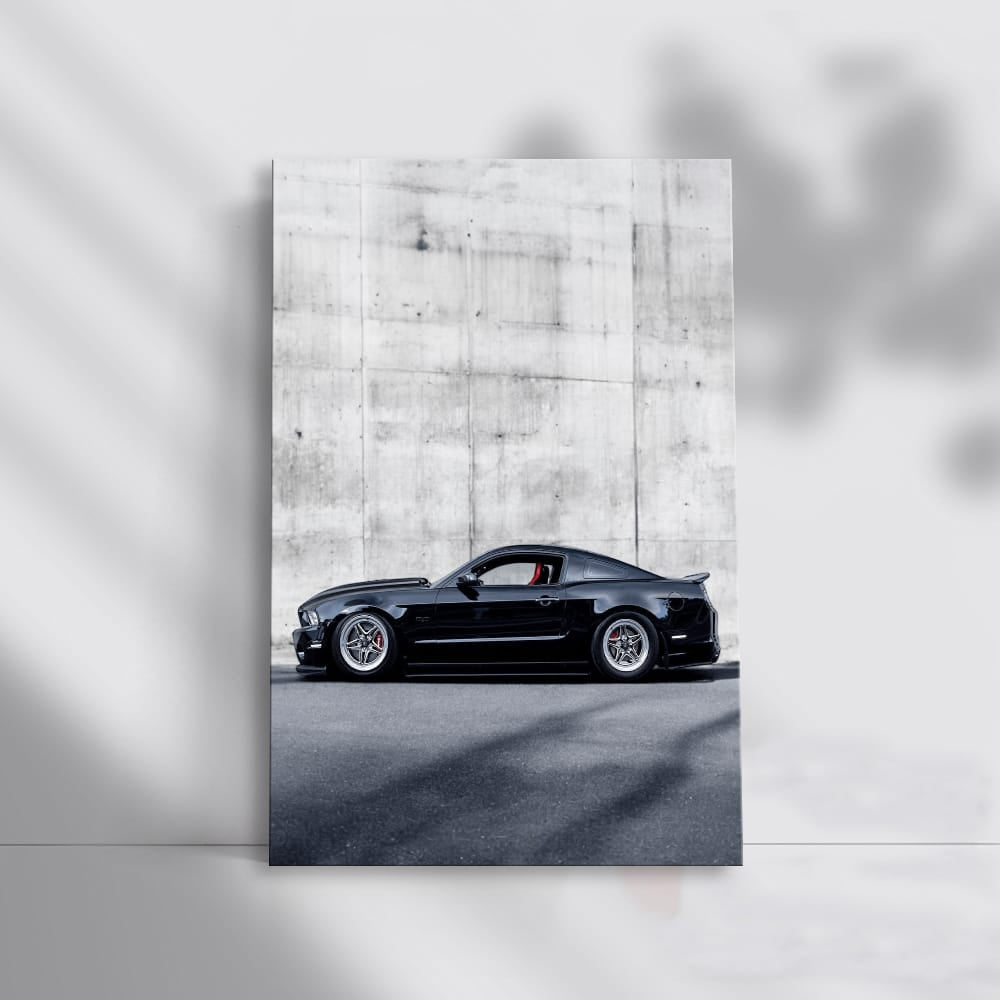 Black Mustang Against Concrete Wall - Bold and Powerful