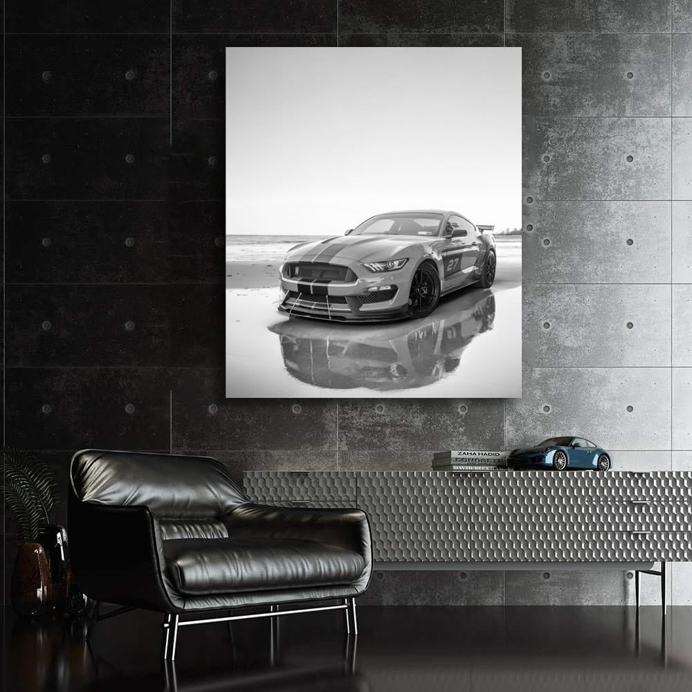 Mustang Classic Black & White - Iconic Power and Elegance