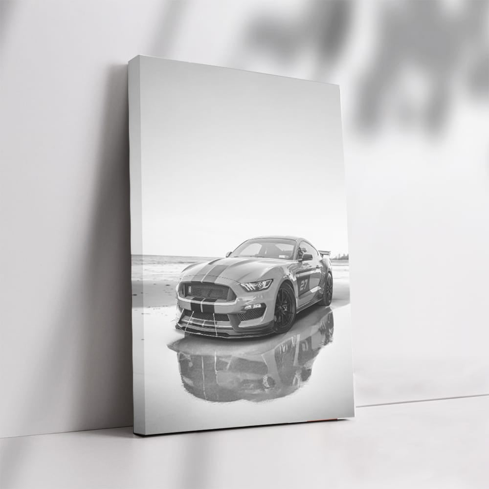 Mustang Classic Black & White - Iconic Power and Elegance