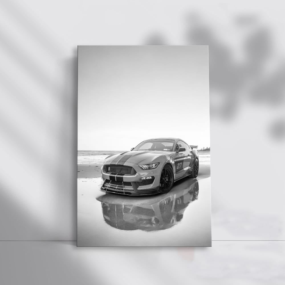 Mustang Classic Black & White - Iconic Power and Elegance
